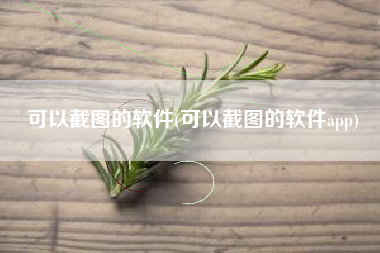 可以截图的软件(可以截图的软件app)
