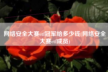 网络安全大赛ctf冠军给多少钱(网络安全大赛ctf成员)