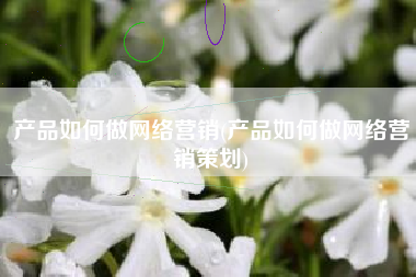 产品如何做网络营销(产品如何做网络营销策划)
