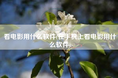 看电影用什么软件(在手机上看电影用什么软件)