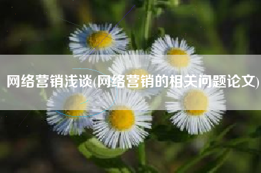 网络营销浅谈(网络营销的相关问题论文)
