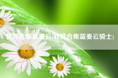 软件合集蓝奏云(软件合集蓝奏云骑士)