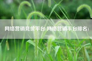网络营销竞价平台(网络营销平台排名)