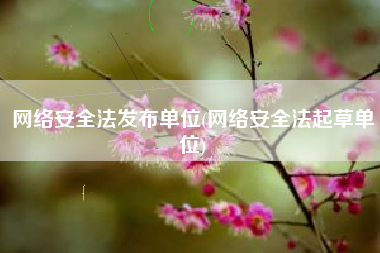 网络安全法发布单位(网络安全法起草单位)