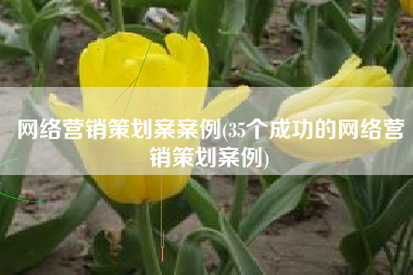 网络营销策划案案例(35个成功的网络营销策划案例)