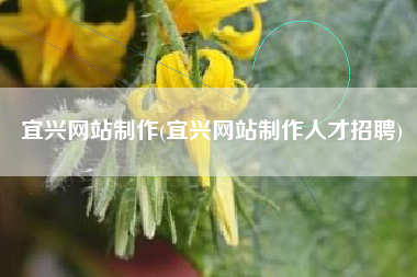 宜兴网站制作(宜兴网站制作人才招聘)