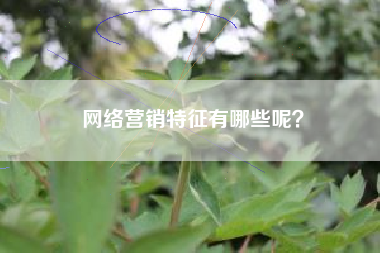 网络营销特征有哪些呢？