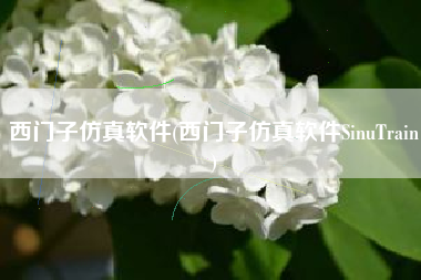 西门子仿真软件(西门子仿真软件SinuTrain)