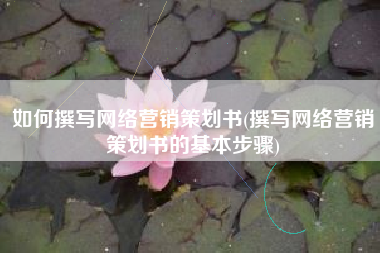 如何撰写网络营销策划书(撰写网络营销策划书的基本步骤)