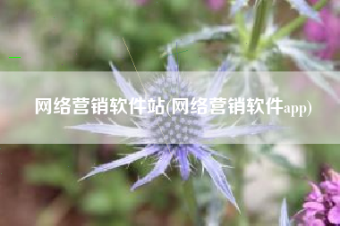 网络营销软件站(网络营销软件app)