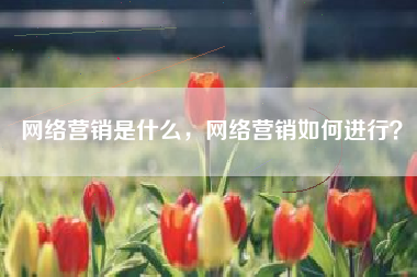 网络营销是什么，网络营销如何进行？