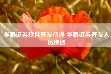 华泰证券软件开发待遇 华泰证券开发人员待遇