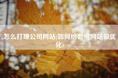 怎么打理公司网站(如何给公司网站做优化)