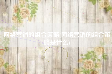 网络营销的组合策略(网络营销的组合策略是什么)