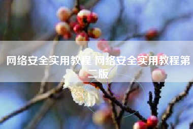 网络安全实用教程 网络安全实用教程第二版