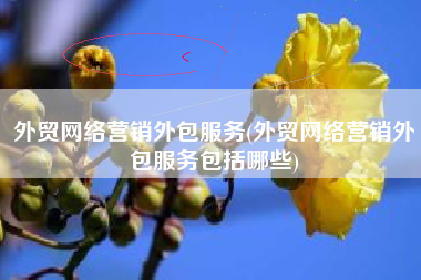 外贸网络营销外包服务(外贸网络营销外包服务包括哪些)