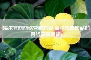 海尔官网网络营销职能(海尔集团网站的网络营销职能)