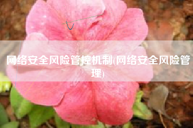 网络安全风险管控机制(网络安全风险管理)