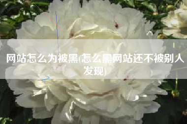 网站怎么为被黑(怎么黑网站还不被别人发现)