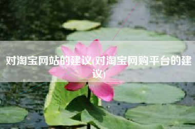 对淘宝网站的建议(对淘宝网购平台的建议)