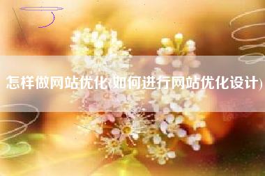 怎样做网站优化(如何进行网站优化设计)