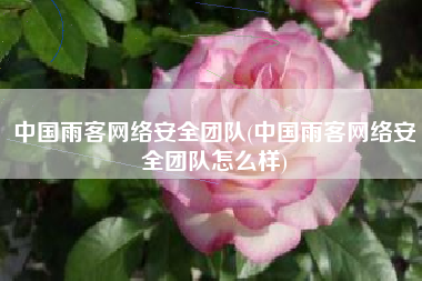 中国雨客网络安全团队(中国雨客网络安全团队怎么样)