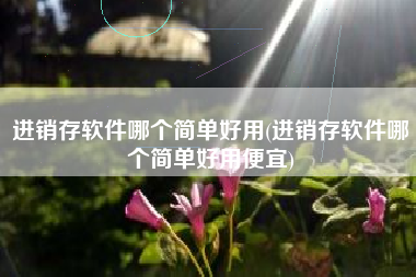 进销存软件哪个简单好用(进销存软件哪个简单好用便宜)