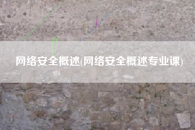 网络安全概述(网络安全概述专业课)