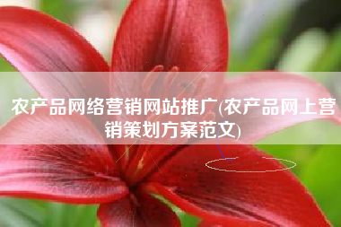 农产品网络营销网站推广(农产品网上营销策划方案范文)