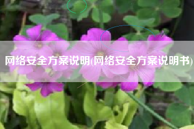 网络安全方案说明(网络安全方案说明书)