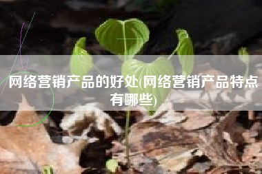 网络营销产品的好处(网络营销产品特点有哪些)