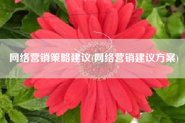 网络营销策略建议(网络营销建议方案)