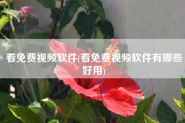 看免费视频软件(看免费视频软件有哪些好用)