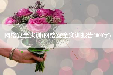 网络安全实训(网络安全实训报告2000字)