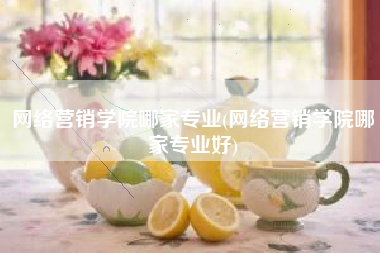 网络营销学院哪家专业(网络营销学院哪家专业好)