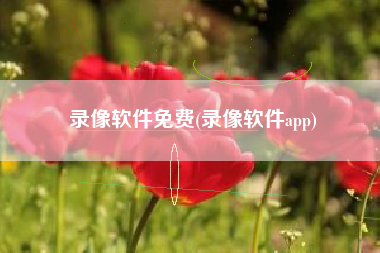 录像软件免费(录像软件app)