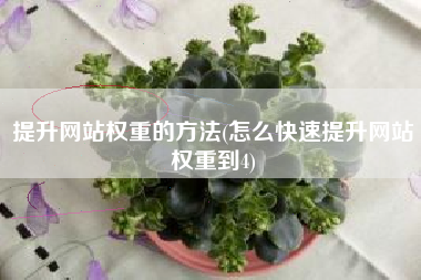 提升网站权重的方法(怎么快速提升网站权重到4)
