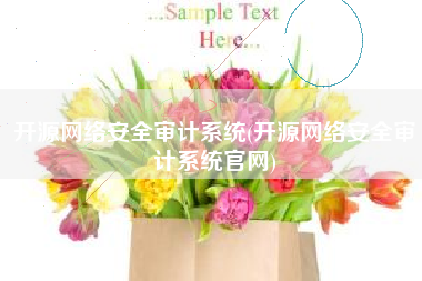 开源网络安全审计系统(开源网络安全审计系统官网)