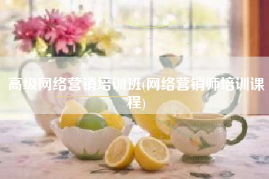 高级网络营销培训班(网络营销师培训课程)