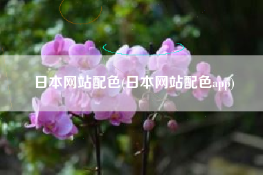 日本网站配色(日本网站配色app)