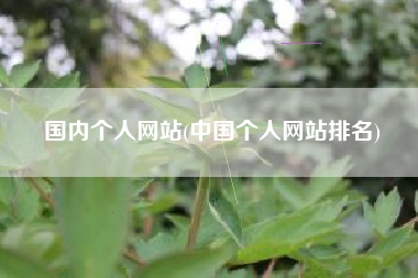 国内个人网站(中国个人网站排名)