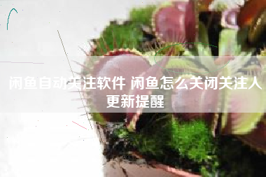 闲鱼自动关注软件 闲鱼怎么关闭关注人更新提醒