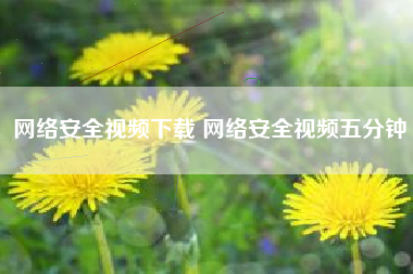 网络安全视频下载 网络安全视频五分钟