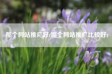 那个网站推广好(哪个网站推广比较好)