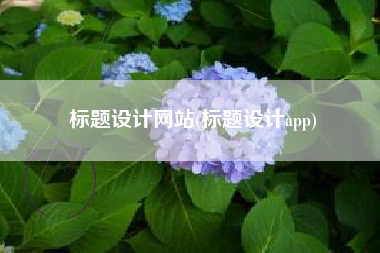 标题设计网站(标题设计app)