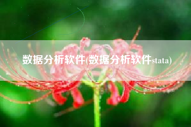 数据分析软件(数据分析软件stata)