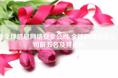全球信息网络安全公司(全球网络安全公司前五名及其占比)