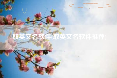 取英文名软件(取英文名软件推荐)