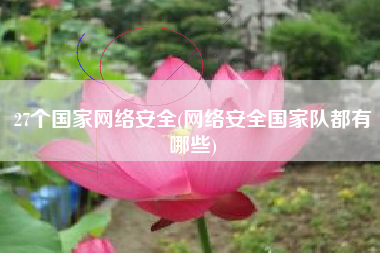 27个国家网络安全(网络安全国家队都有哪些)