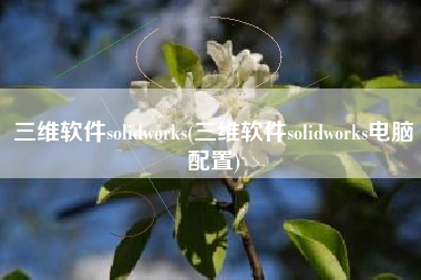 三维软件solidworks(三维软件solidworks电脑配置)